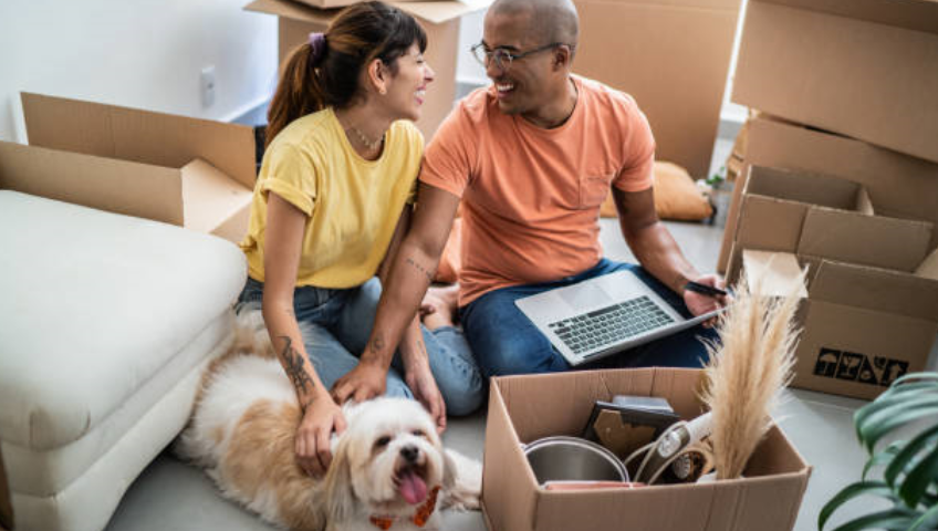 Pet Relocation Service In Bhubaneswar