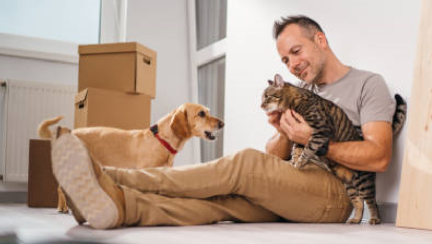 Pet Relocation Service In Allahabad