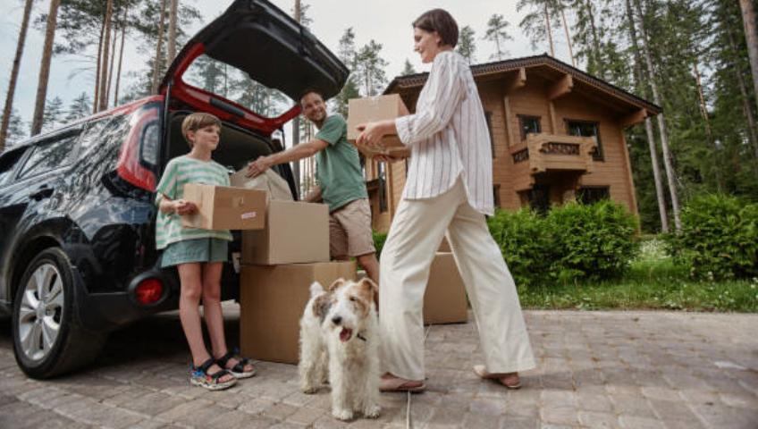 Pet Relocation Service In Bangalore