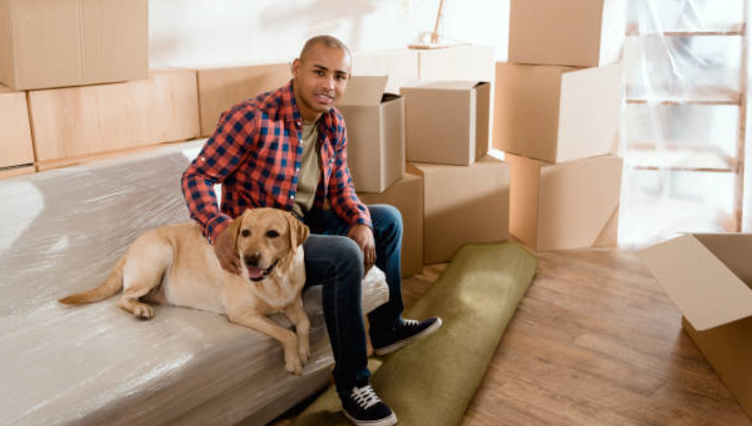 Pet Relocation Service In Visakhapatnam