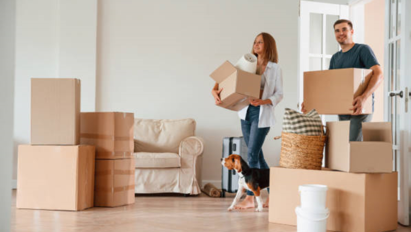 Pet Relocation Service In Zirakpur