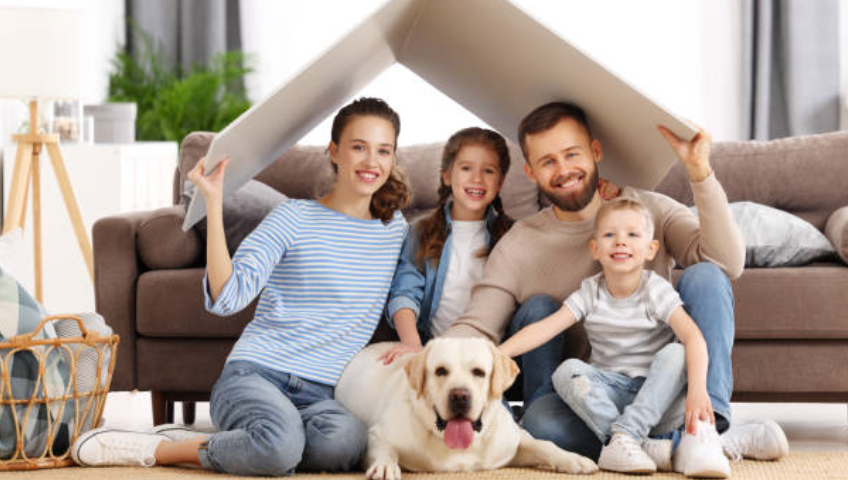 Pet Relocation Service In Raipur