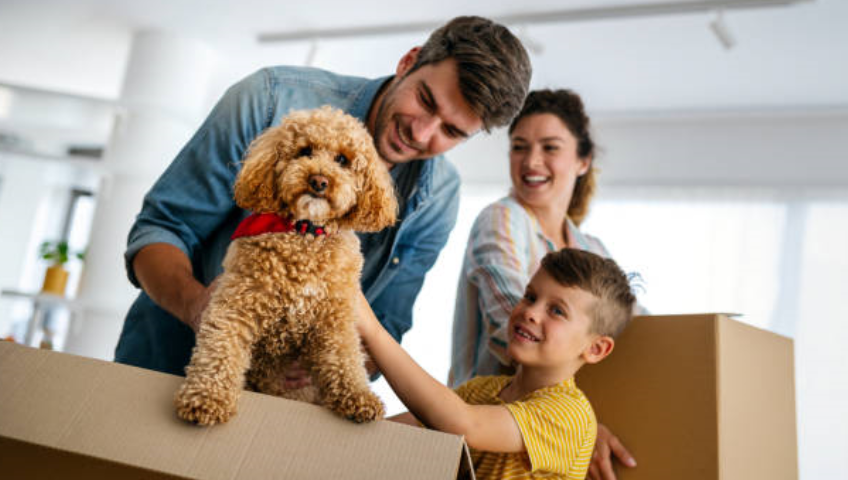 Pet Relocation Service In Bhopal